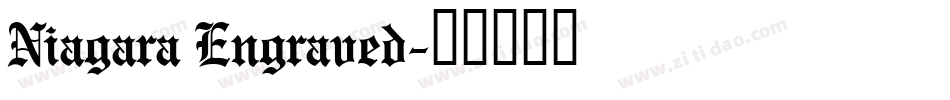 Niagara Engraved字体转换